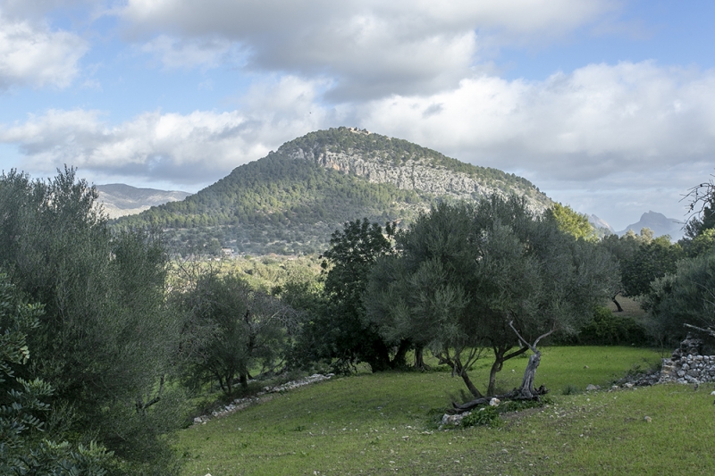 toni font - pollensa 